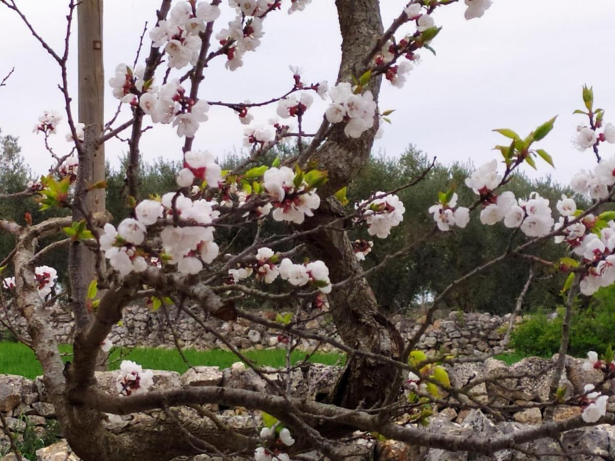 Willa Trulli Demetra Martina Franca Zewnętrze zdjęcie