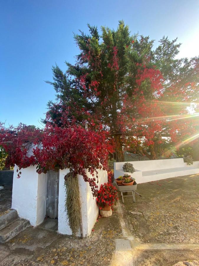 Willa Trulli Demetra Martina Franca Zewnętrze zdjęcie